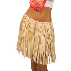 Hawaii-Rock