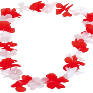 Hawaii Kranz rot/weiß