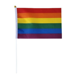 Regenbogen-Flagge mit Stab (14x21 cm)