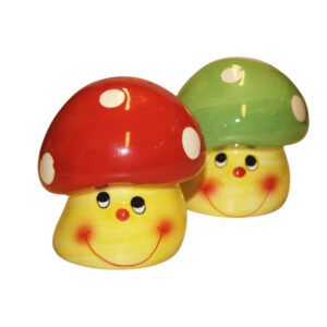 Sparfliegenpilz mit lächelndem Gesicht sort.