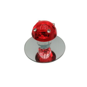 Glaspilz geschliffen auf Spiegel