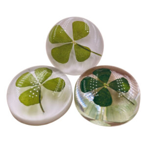 echtes 4-blättriges Kleeblatt in Kunstharz sort.