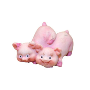 Schweinejunge und -Mädchen 4fach sortiert