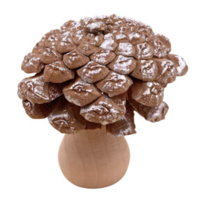 Tannenzapfen-Pilz sort.