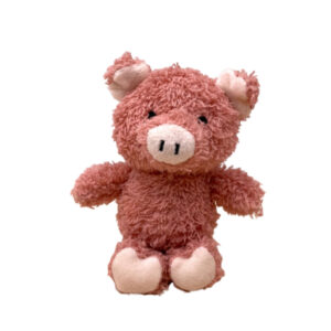 zerzaustes Miniplüschschweinchen