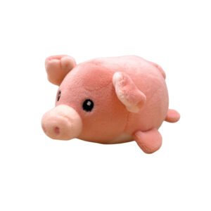 Miniplüschschweinchen liegend