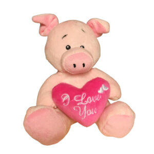 Plüschschweinchen mit Herz in der Hand