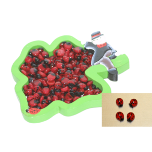 Box mit Glasglückskäfern (82100)