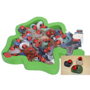 Box mit Käfern auf Glücksstein (83003)