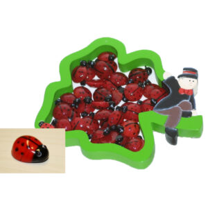 Box mit Glasmarienkäfer (82124)