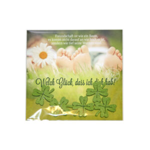 Für Dich Karte "Freundschaft" Display